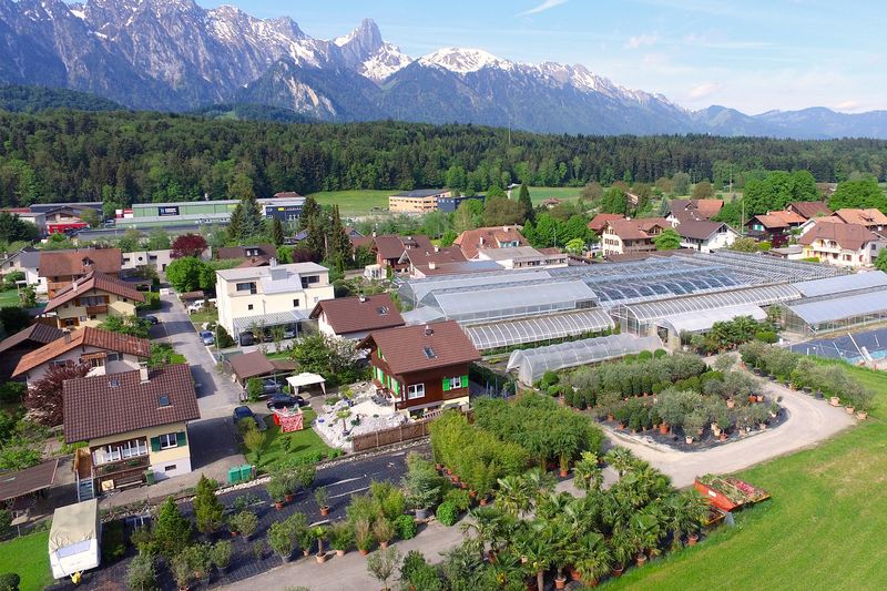 Wittwer Blumen Gartenbau AG in Thun Wittwer Blumen Gartenbau AG